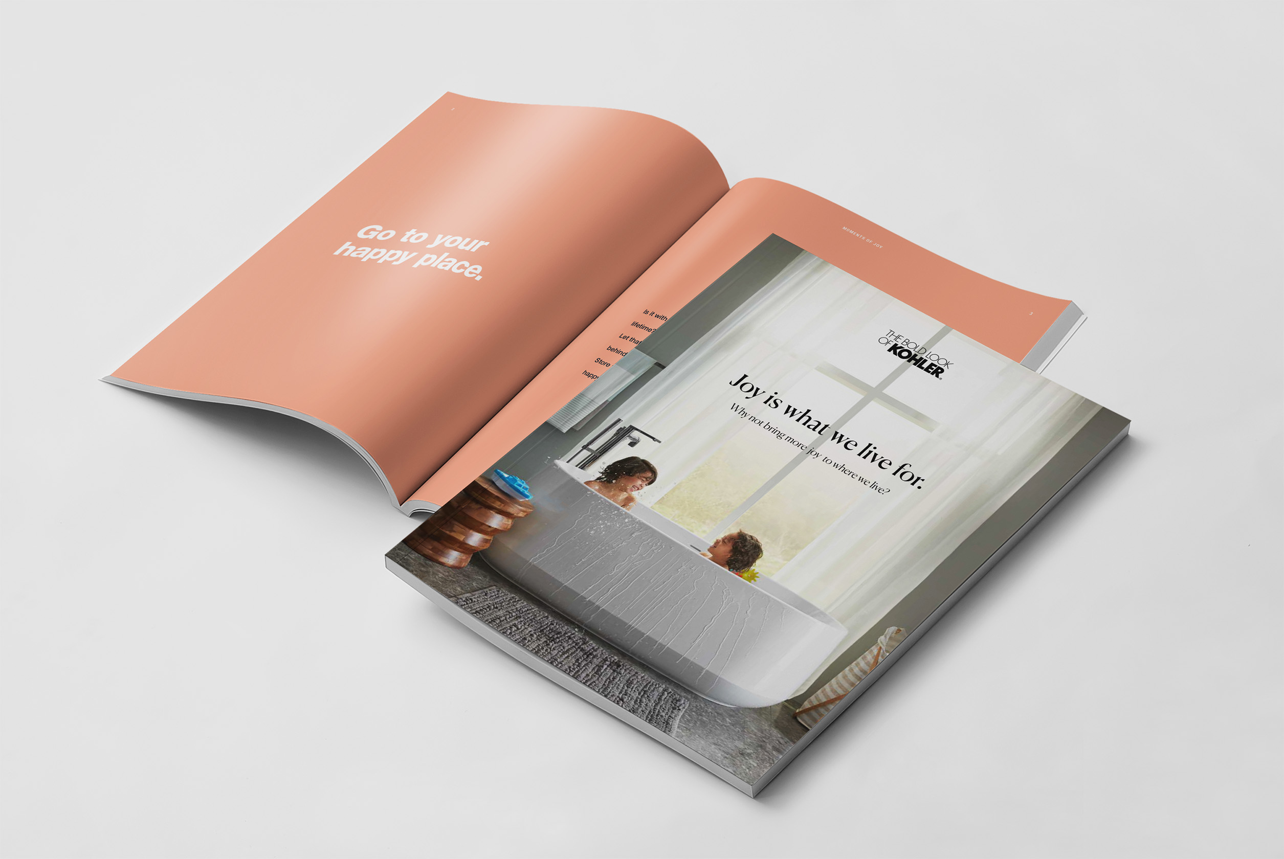 LMI-cover-v5 LMI-cover-v5