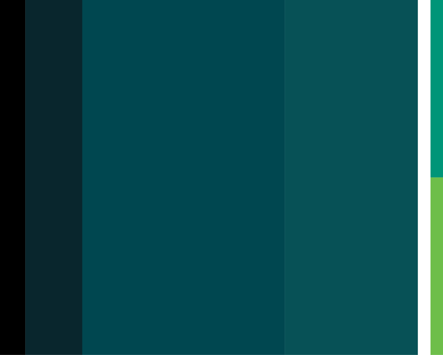 RISE-ID-color RISE-ID-color