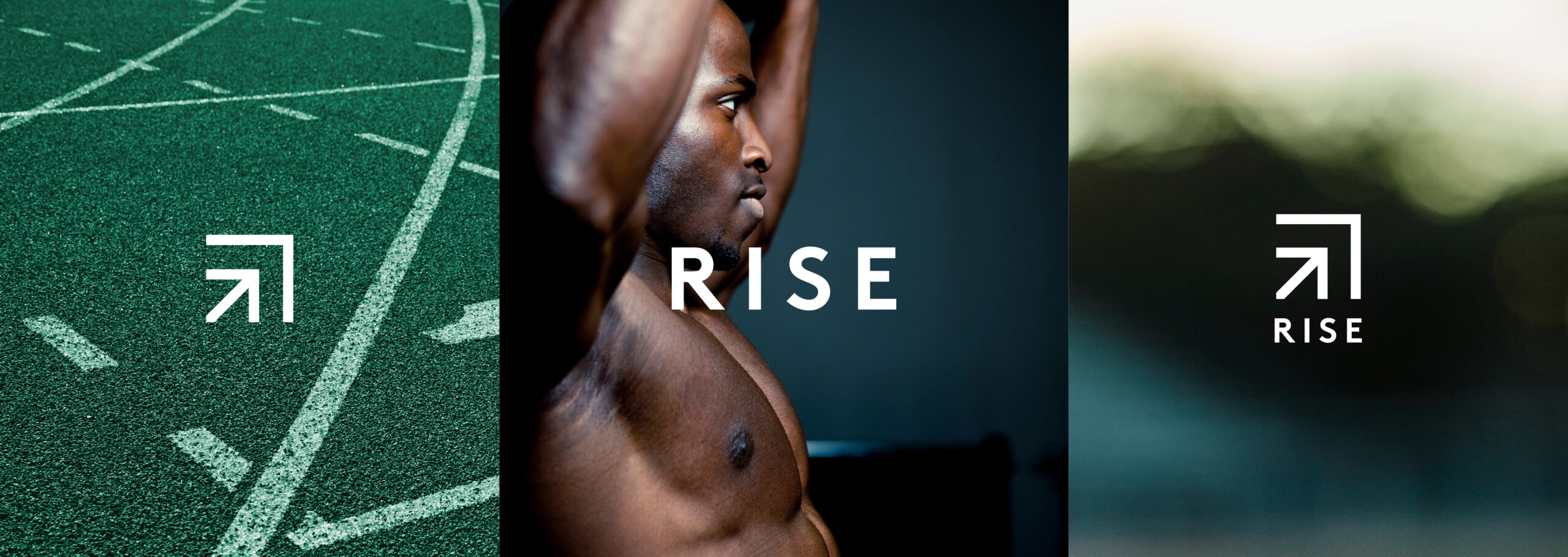 RISE-ID-marks RISE-ID-marks